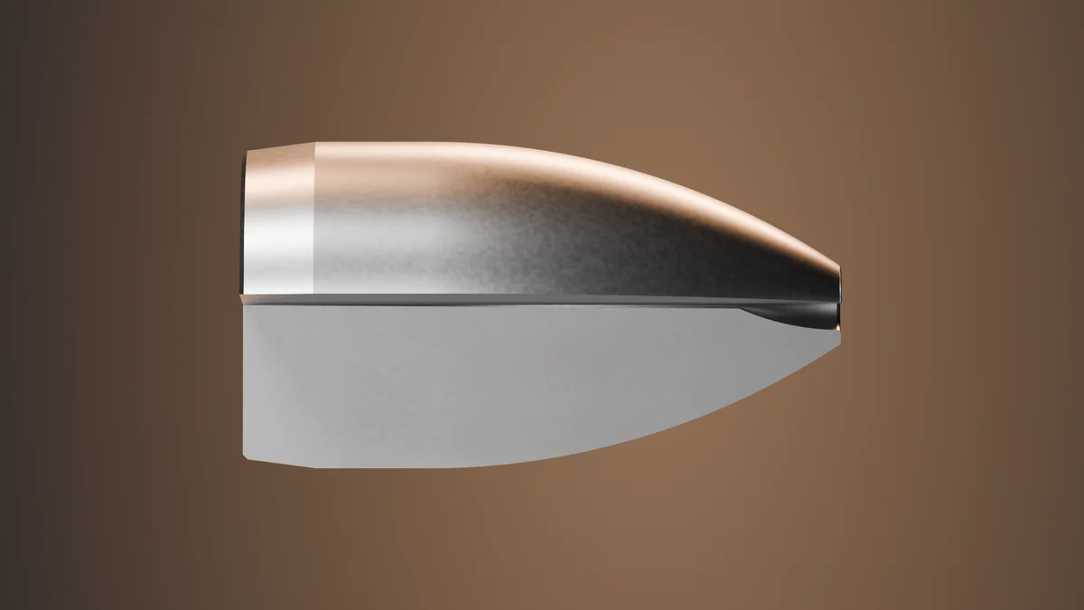 Cutaway rendering showing the hollow point and tapered base